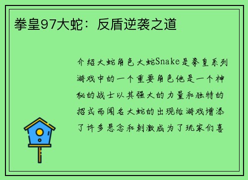 拳皇97大蛇：反盾逆袭之道